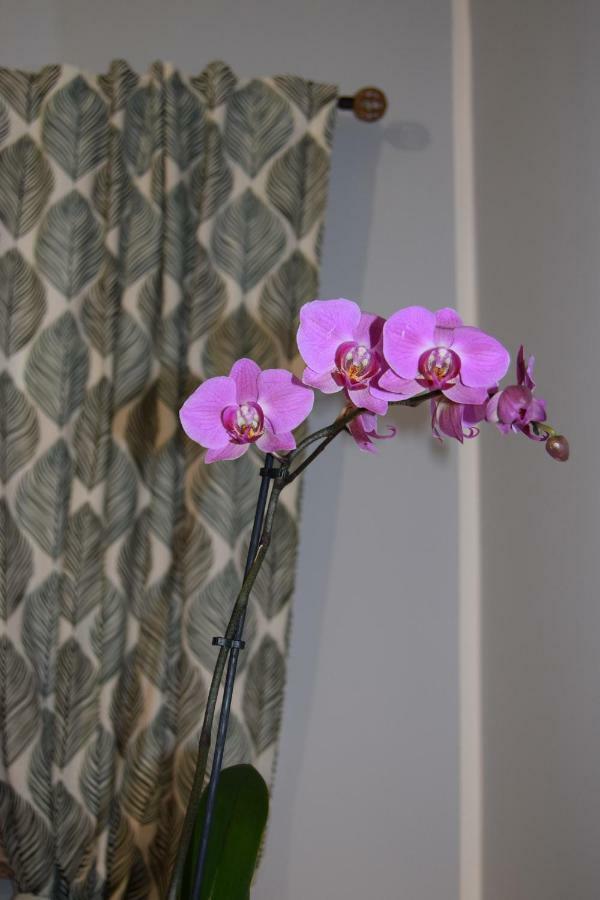 Domunua Holiday House 체팔루 외부 사진